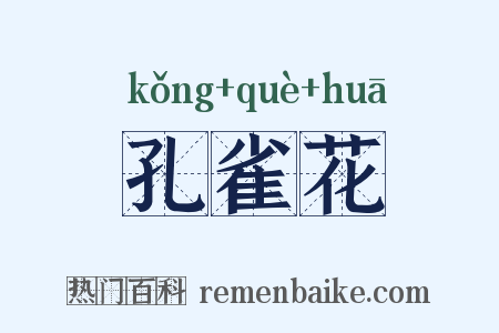 孔雀花是什么意思的图片